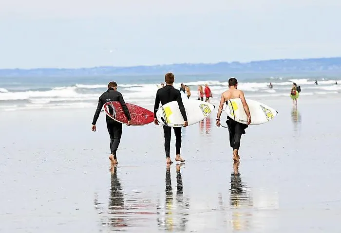 Les Coquilles La Torche