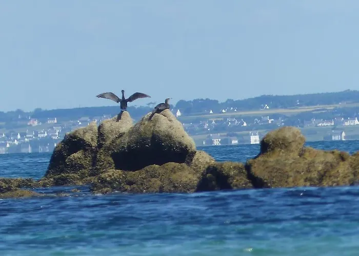 Escapade En Bretagne